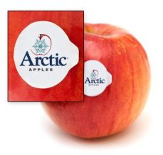 arctic-apples-label