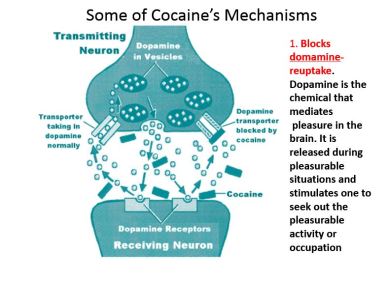 cocaine1