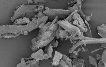 a scanning electron micrograph of dust