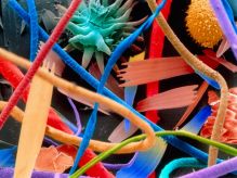 a colorized magnified view of dust
